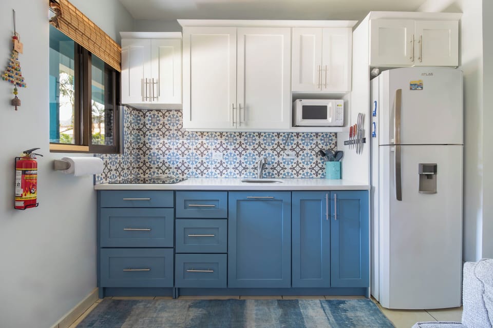 Compact kitchenette has induction cooktop, fridge and sink in efficient layout.