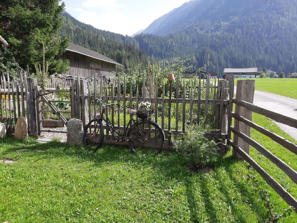 Bicycle, Plant, Property, Wheel, Mountain, Sky, Fence, Tree, Bicycle Wheel, Natural Landscape