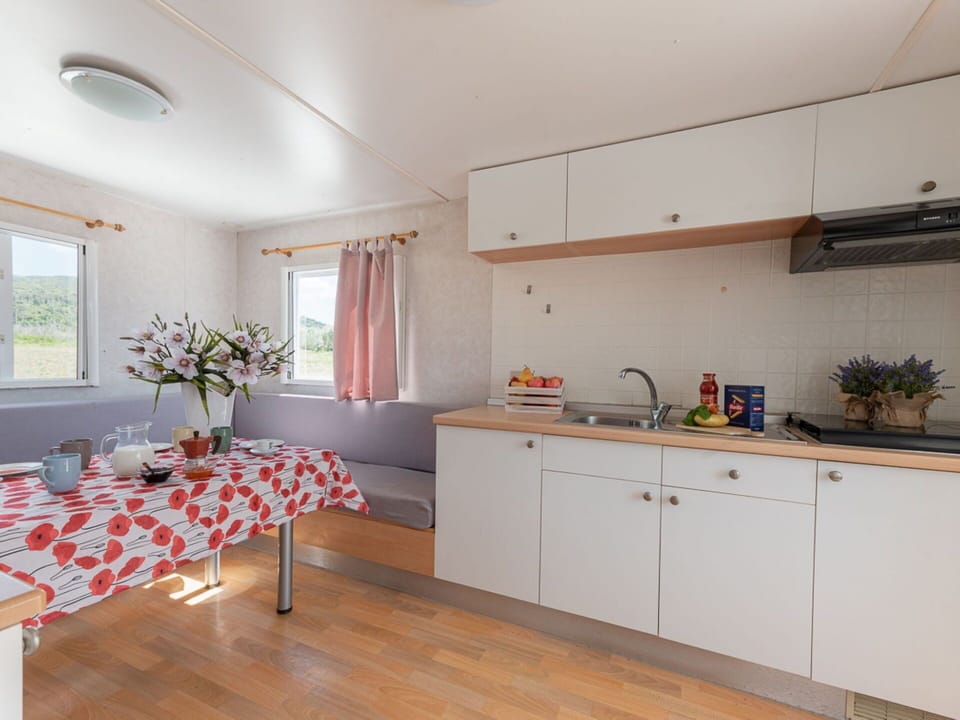 Cabinetry, Furniture, Kitchen Sink, Countertop, Sink, Window, Wood, Chair, Plant, Kitchen