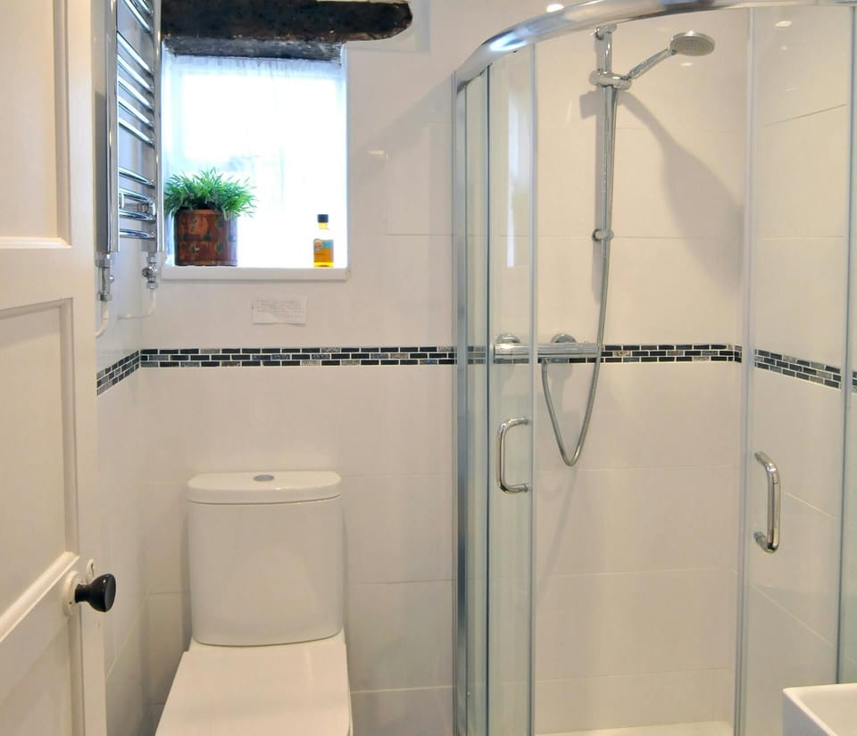Shower cubicle, toilet with plant pot on shelf behind and a chrome towel rail