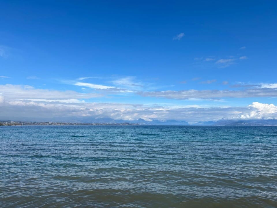 Activities, Autumn, Spring, Summer