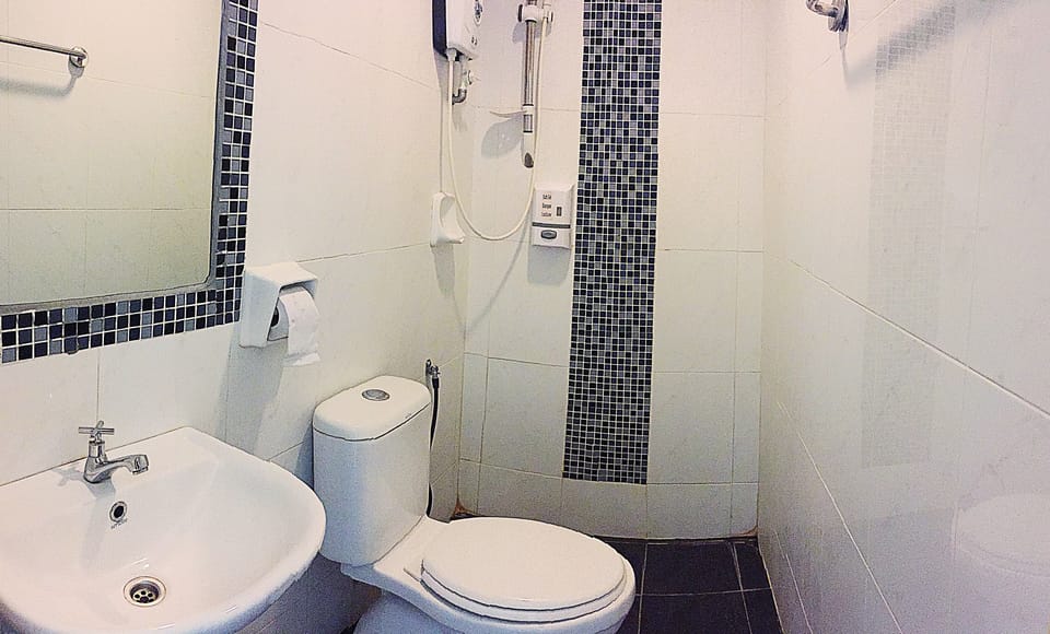Shower, hair dryer (on request), towels