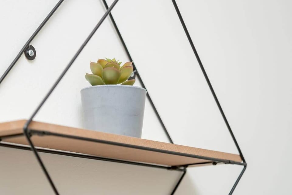 A wooden wall shelf with a potted plant and a framed artwork in a modern entryway.


