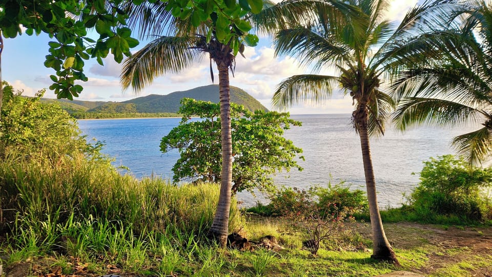 View from Honoré Paradise