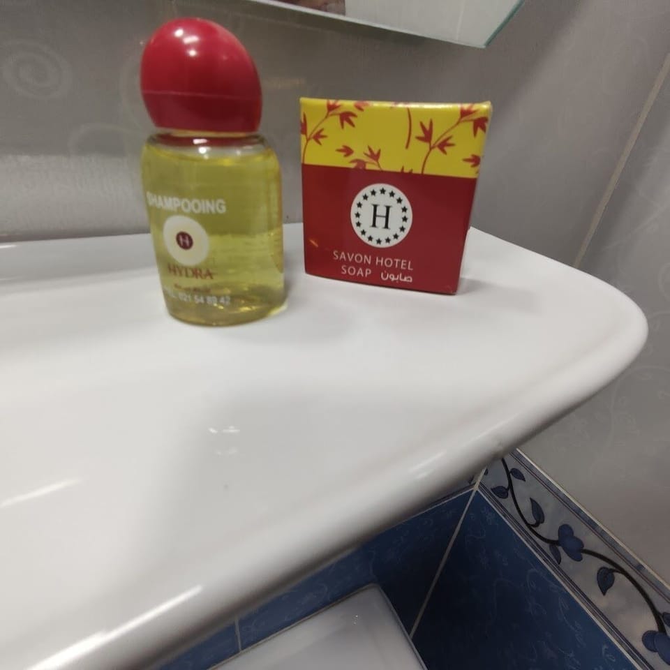 Double or Twin Room | Bathroom | Free toiletries, towels, soap, shampoo