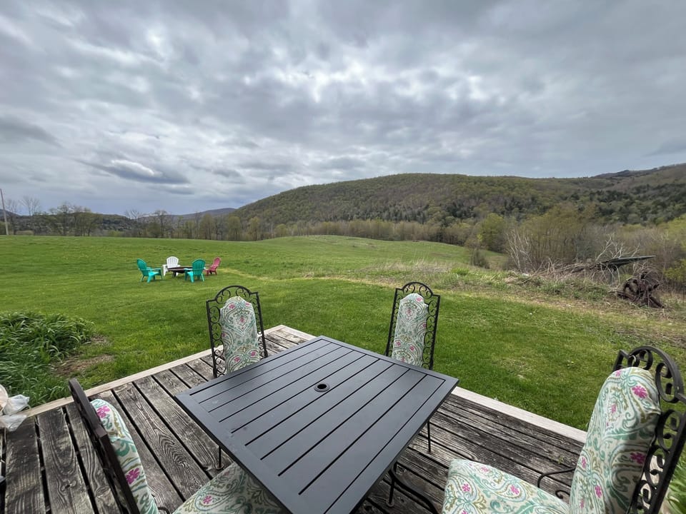 Back porch and fire pit