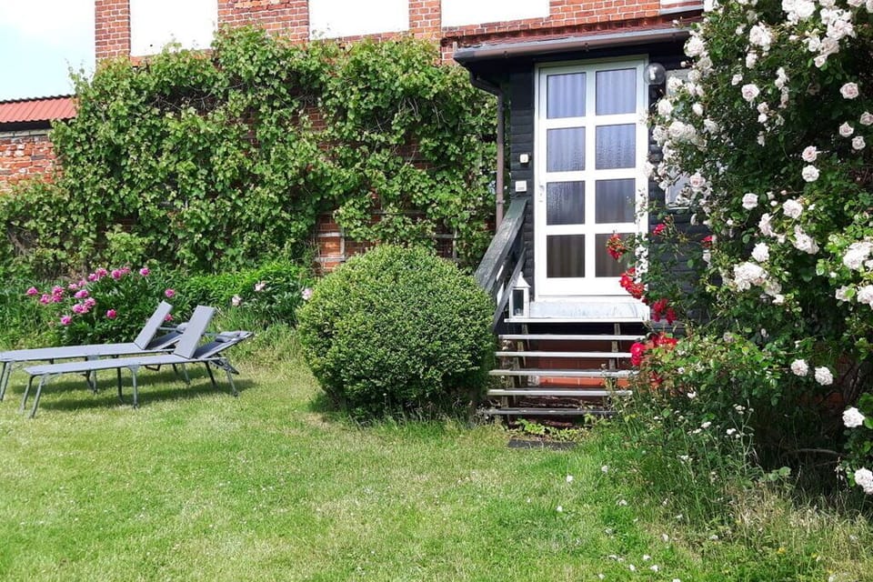 Garden [summer]