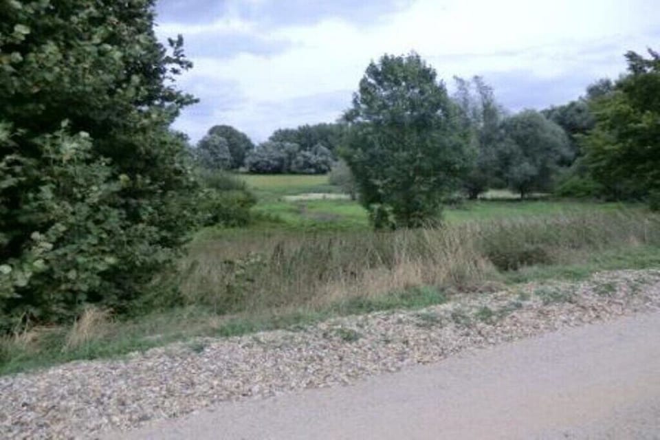 Surroundings [summer] (1-5 km)