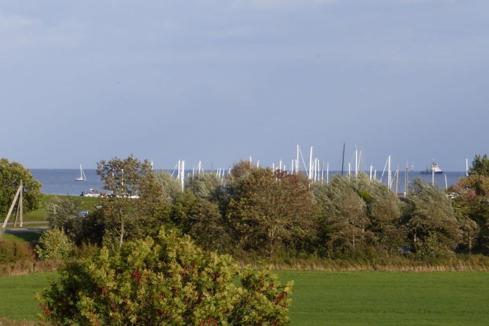 Immediate Surroundings [summer] (<1 km)