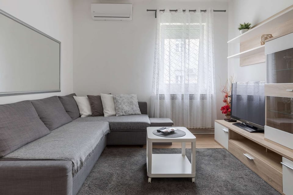 Living room with sofa bed and TV
