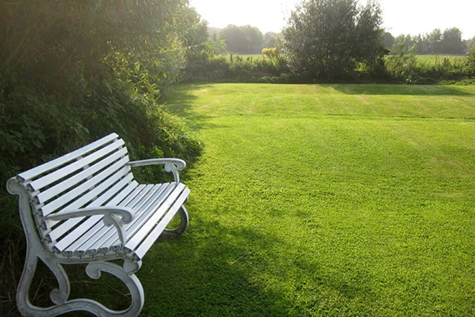 Garden [summer]