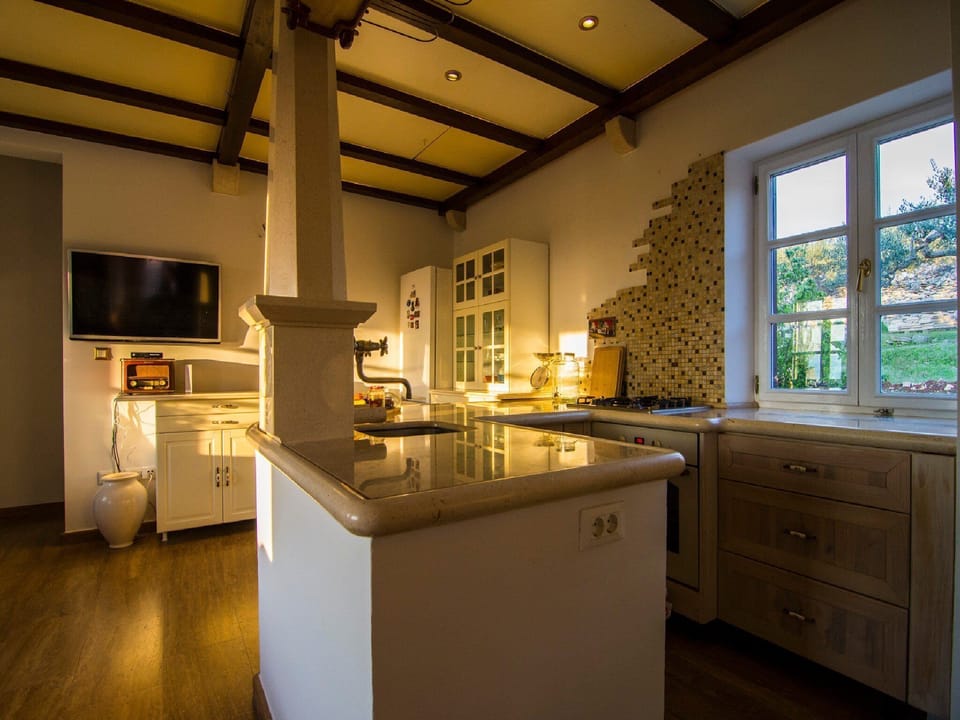 Villa (One Bedroom Villa with Swimming Pool) | Private kitchen | Fridge