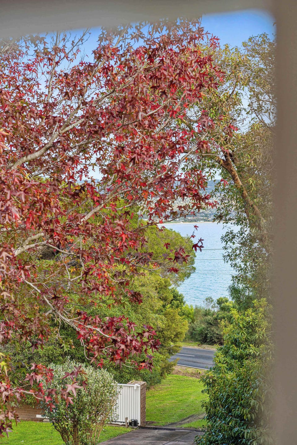 Located directly across from Mount Martha foreshore