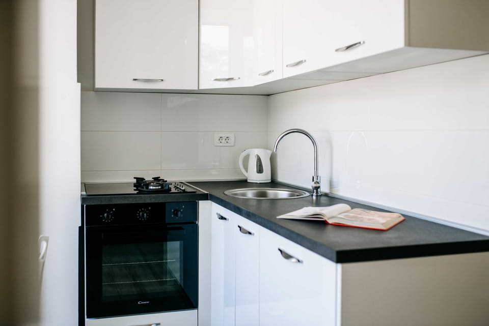 Apartment (Two Bedroom Apartment with City View) | Private kitchen | Fridge