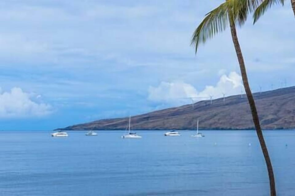 Admire sailboats, west maui mountains, and season whale watching.