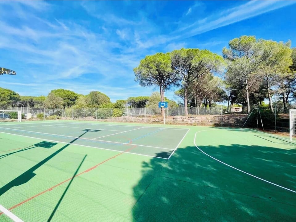 Sport court