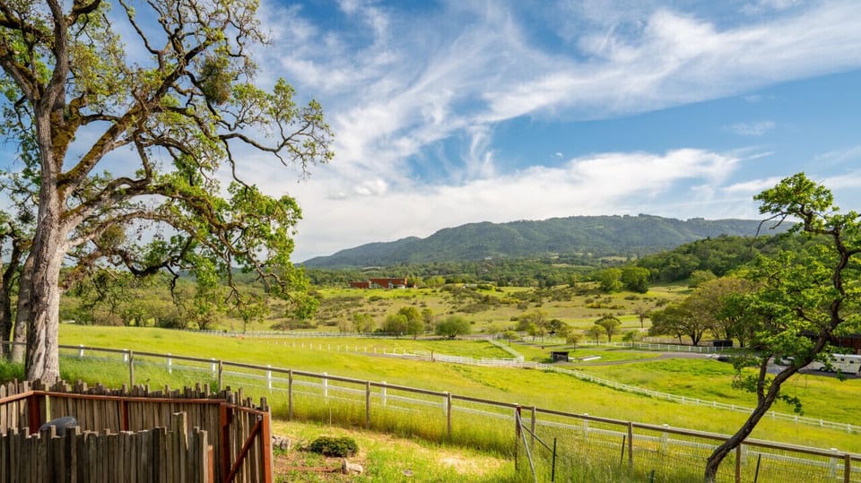 Take in Sonoma County`s beauty when roaming the property