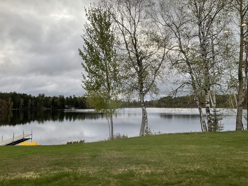 Premium Room, 2 Queen Beds, Refrigerator & Microwave, Lake View | Free WiFi, bed sheets