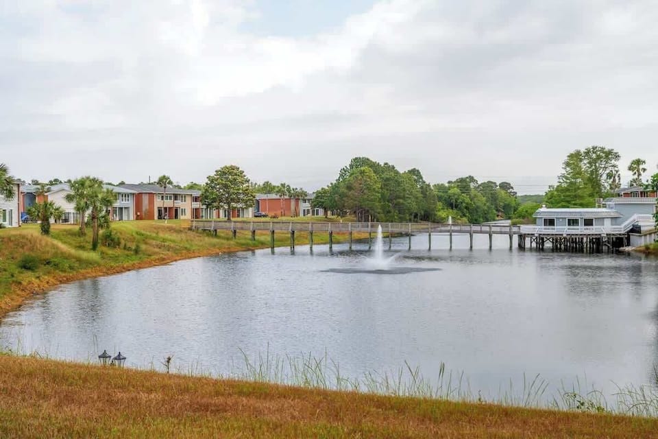 Enjoy serene lake vibes while watching turtles glide by.