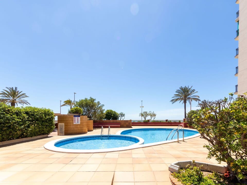 Water, Plant, Sky, Tree, Azure, Swimming Pool, Arecales, Body Of Water, Leisure, Real Estate