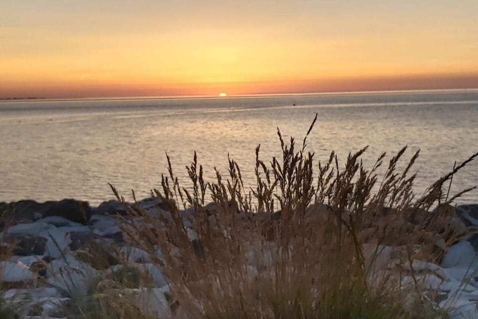 Surroundings [summer] (1-5 km)