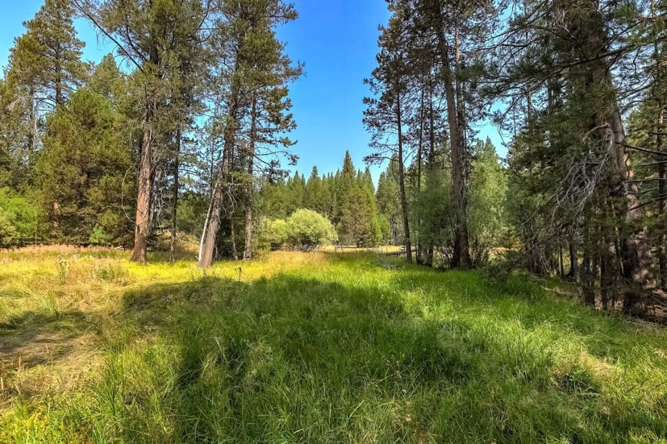 Meadow behind house