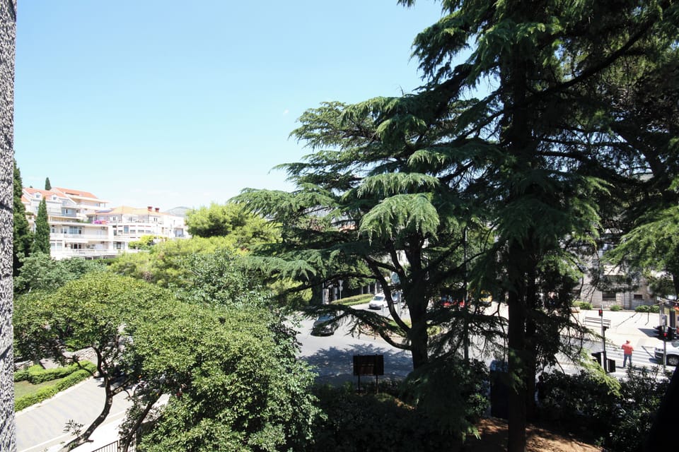 Apartment (Apartment Goge - One-Bedroom Apartmen) | Aerial view