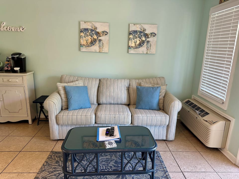 Living room - Queen sleeper sofa
