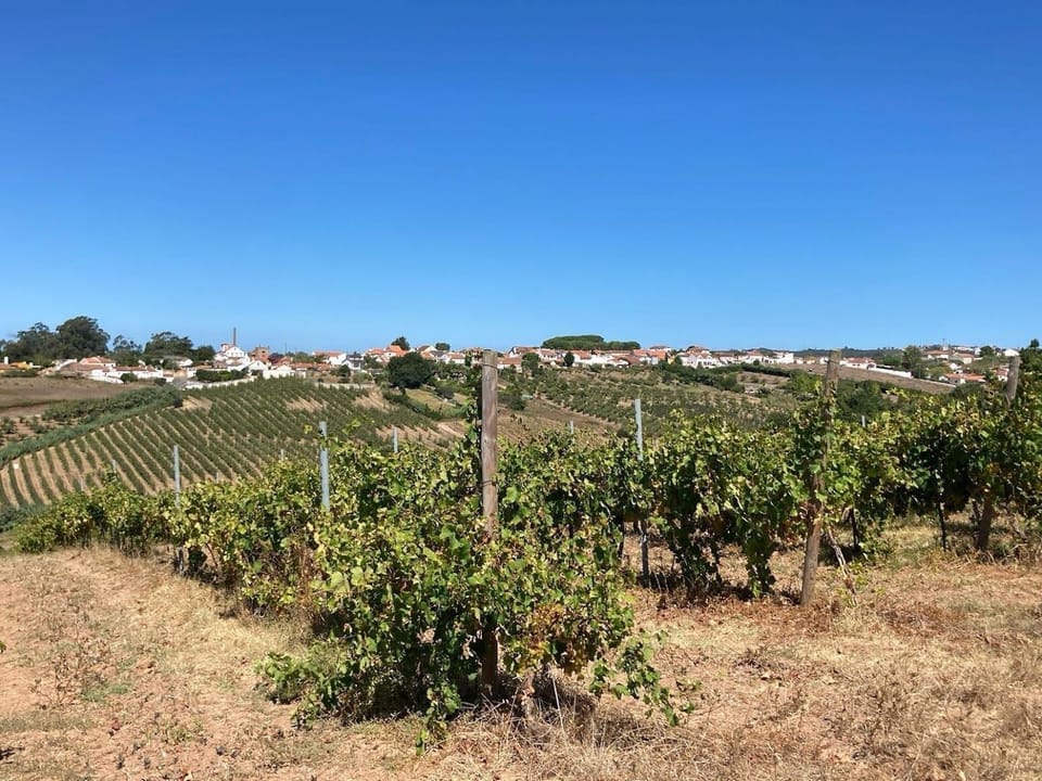View of A-dos-Ruivos from nearby countryside