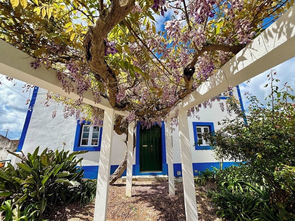 Front of house with wisteria