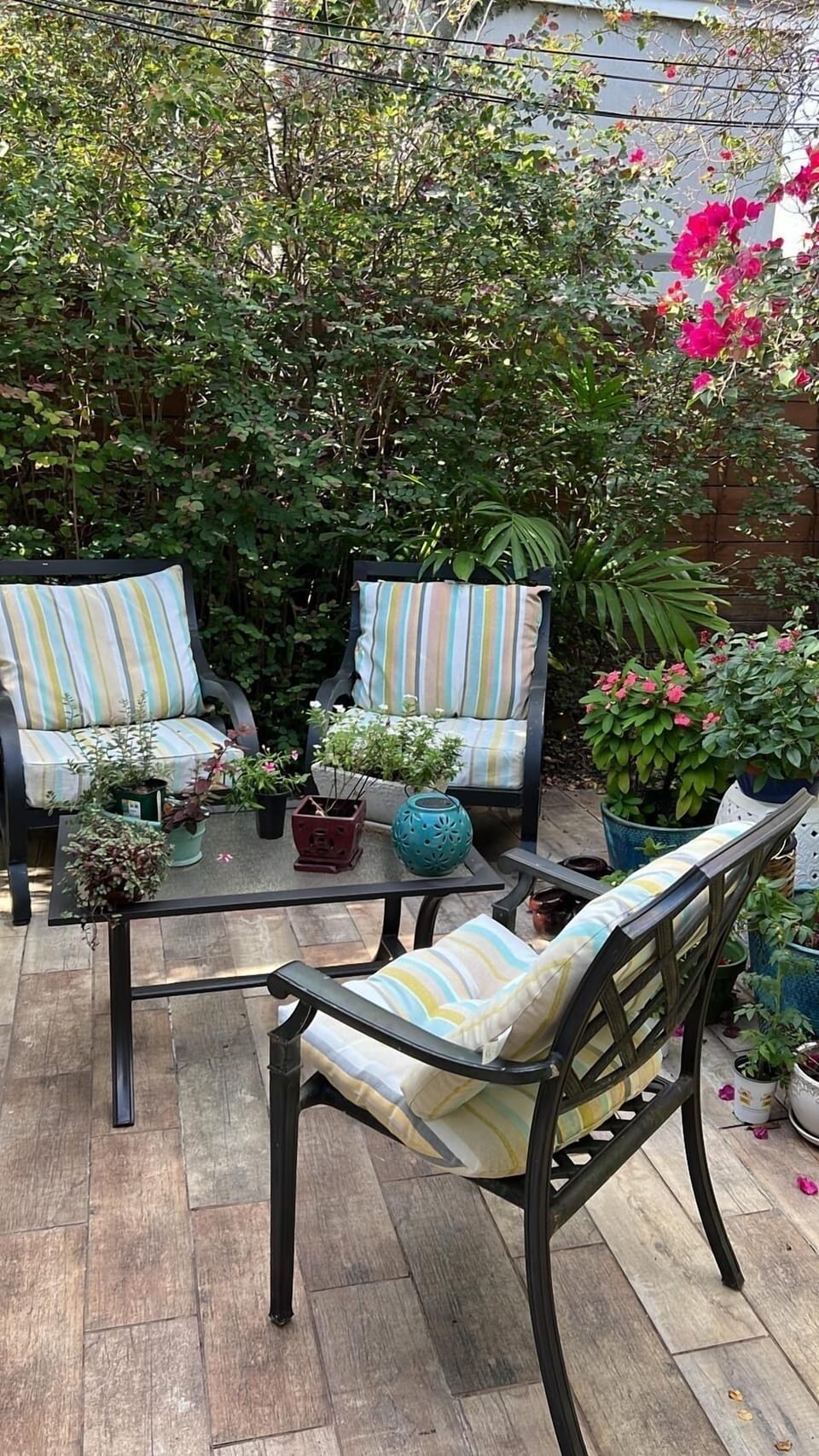 Buganvilia Patio