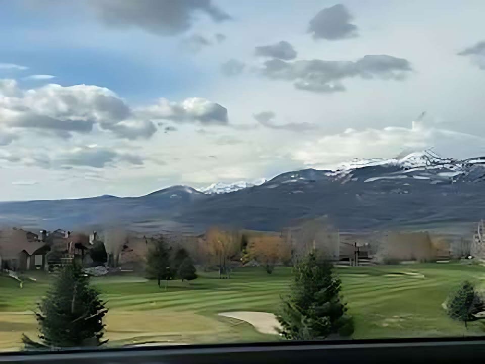 Patio View