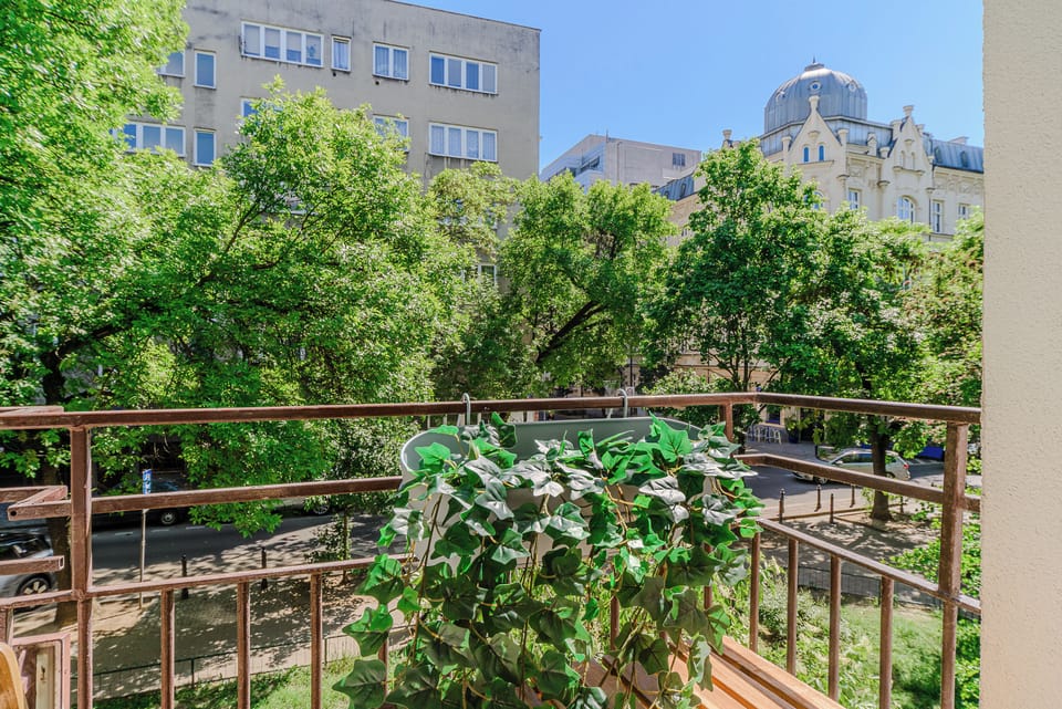 Comfort Apartment, City View | View from room