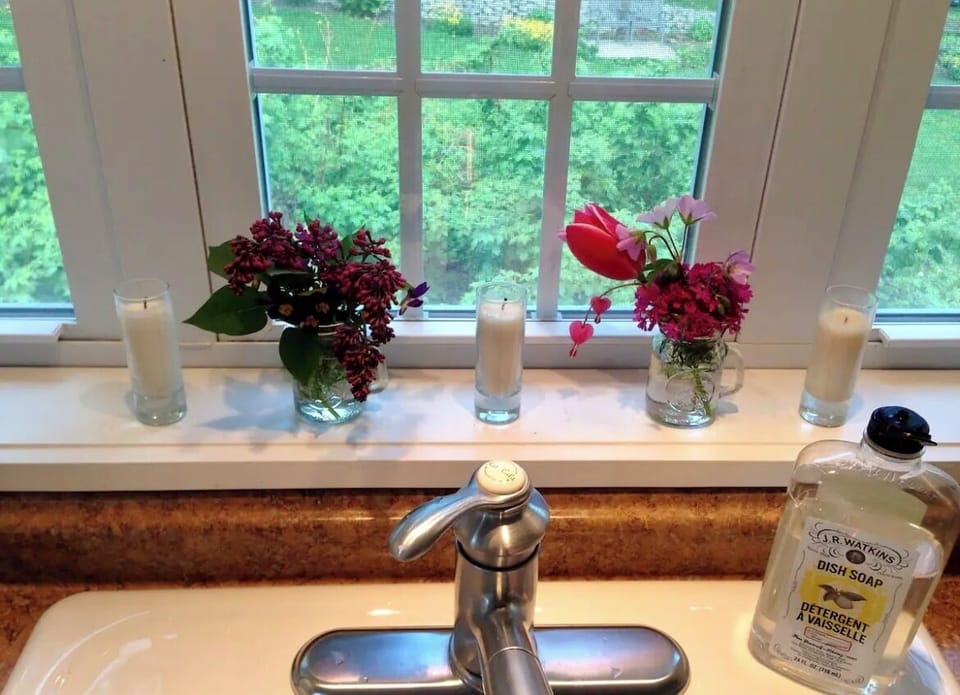 kitchen sink window, looking into back gardens