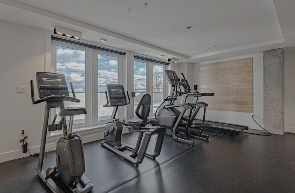 Sunlit fitness center equipped with top-tier cardio machines—including stationary bikes, ellipticals, and treadmills—set against large windows with natural light.