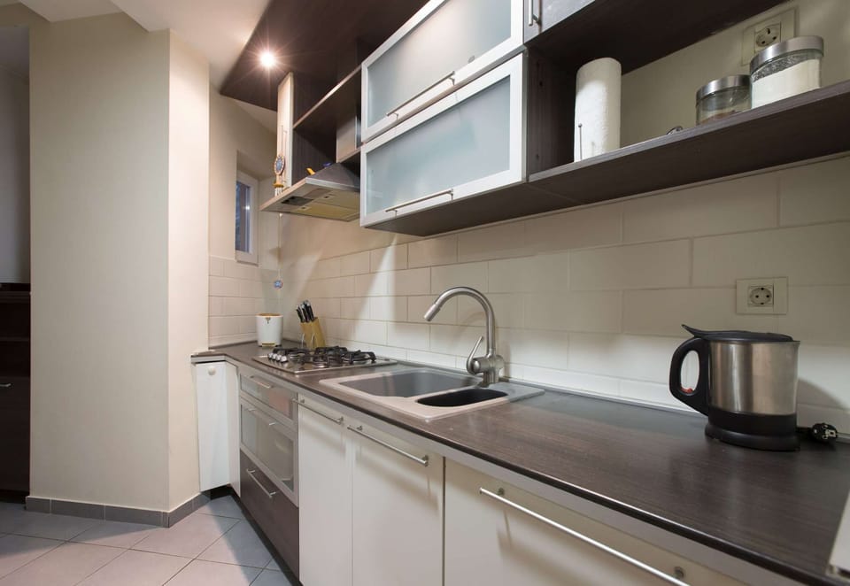 Fully equipped kitchen with big fridge, microwave dishwasher and oven
