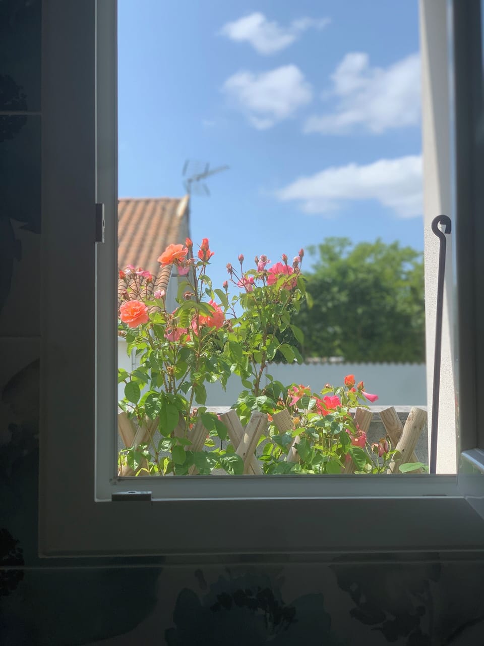 View from property