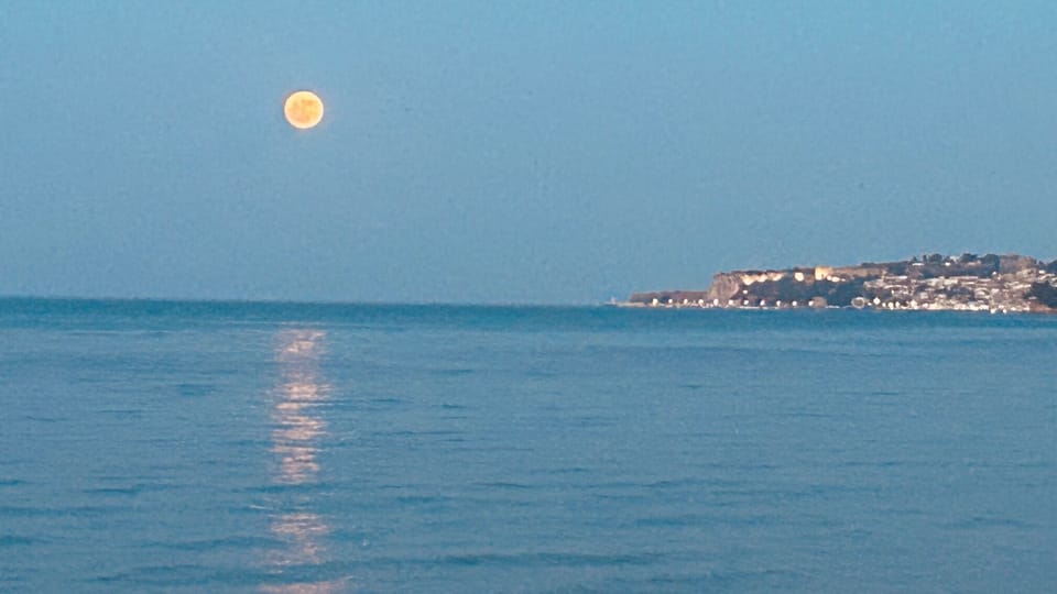 Miscellaneous