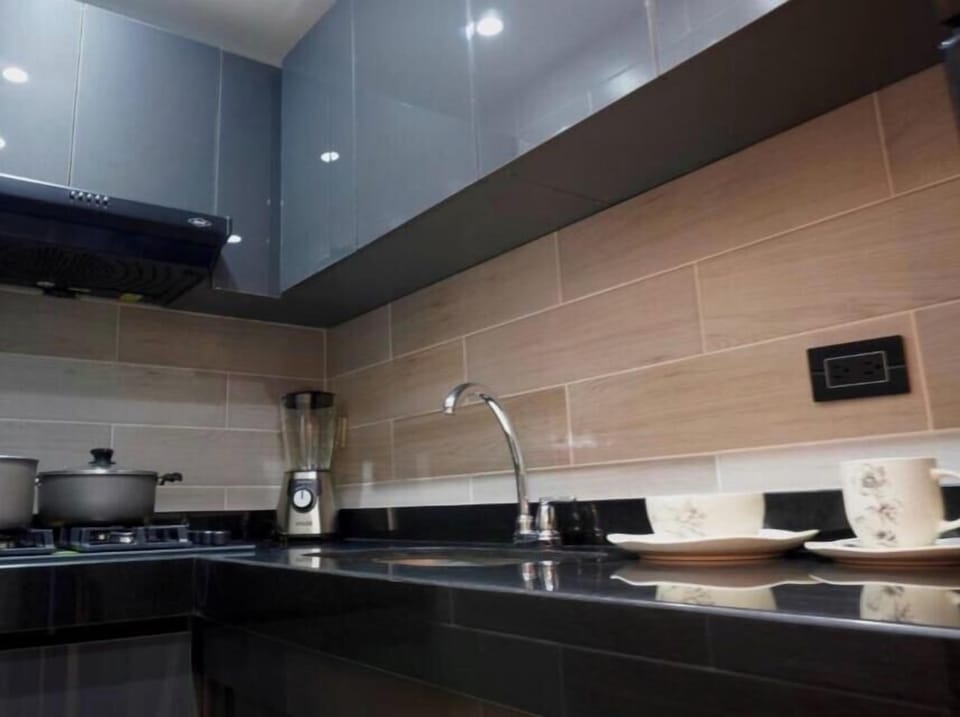 Deluxe Apartment | Private kitchen