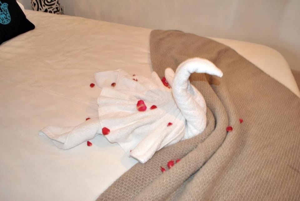 Premium bedding, WiFi (free), individually decorated