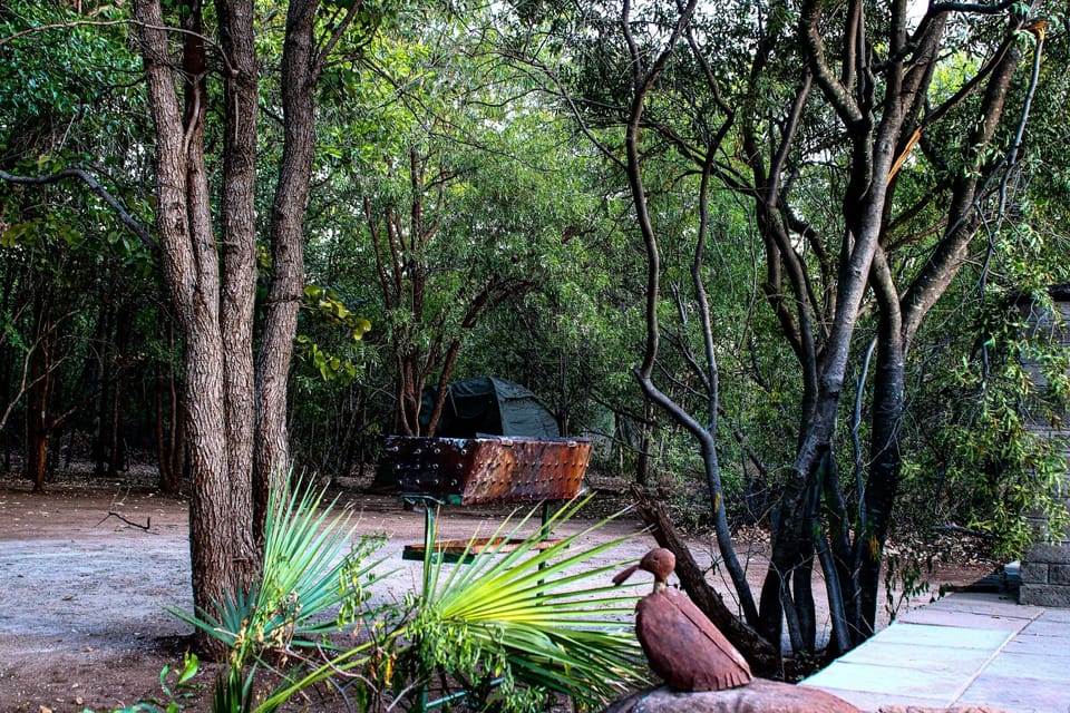 House | Property grounds