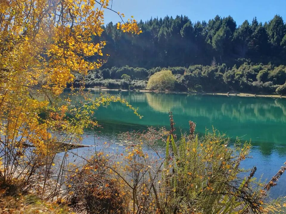 Clutha river walkway is wonderful any time of the year.