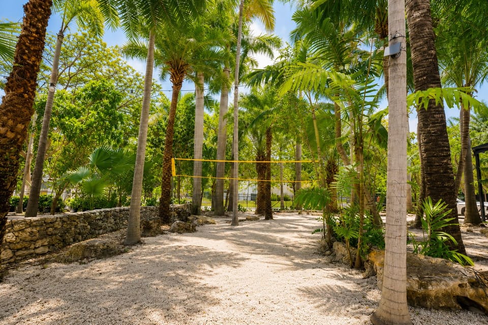 Tropical sand volleyball court nestled in lush palm-filled grounds