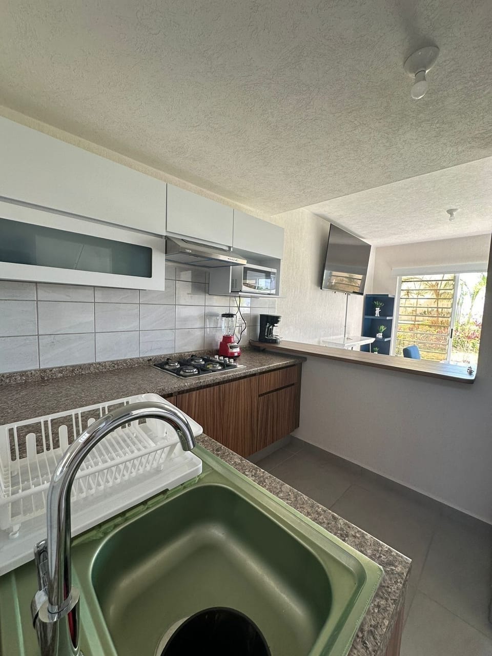 Fridge, microwave, dishwasher, blender