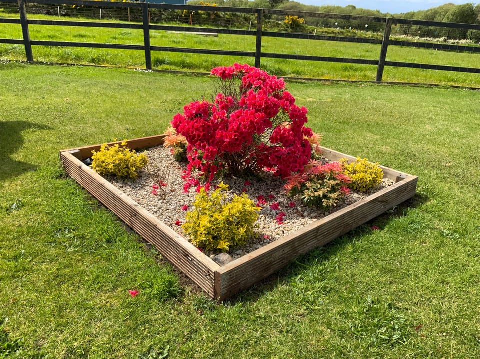 Fabulous colour 