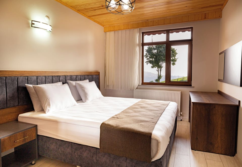 Premium bedding, blackout drapes, soundproofing, iron/ironing board