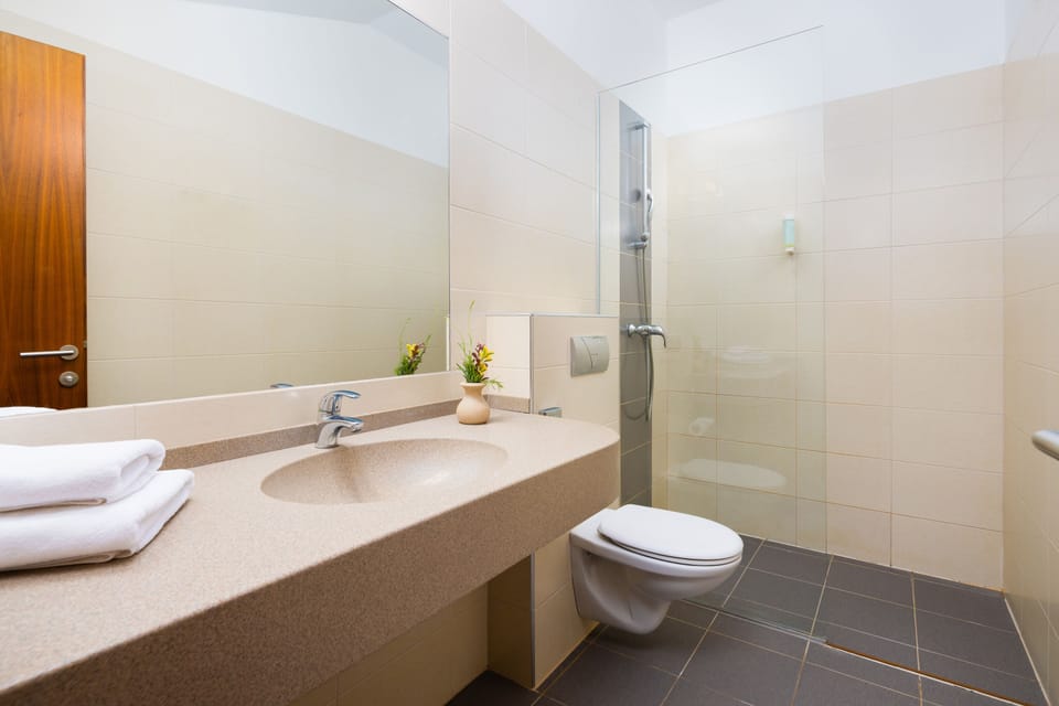 Shower, hair dryer, towels