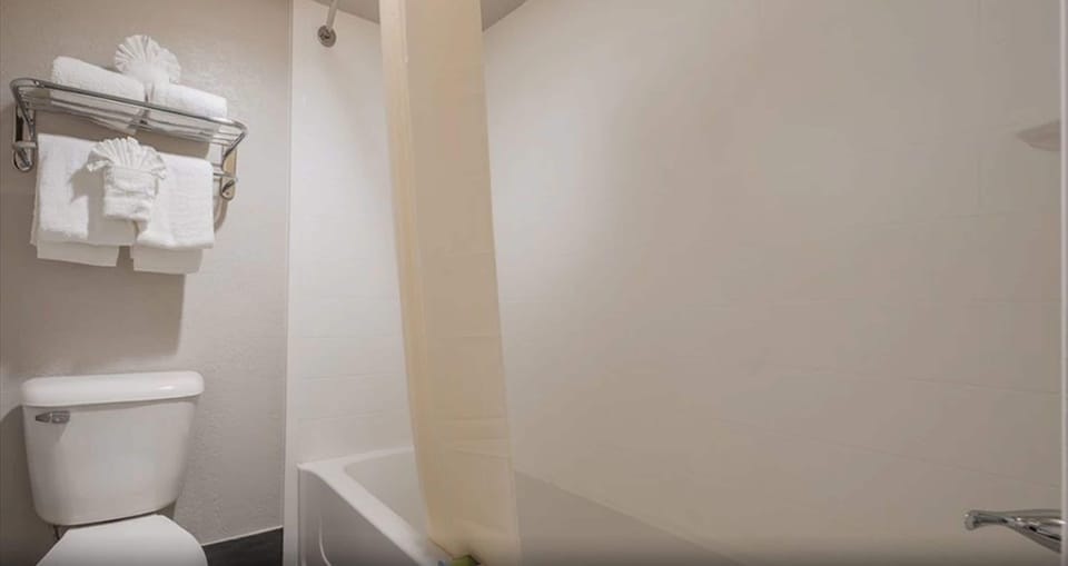 Room, 1 King Bed, Accessible | Bathroom | Combined shower/tub, free toiletries, hair dryer, towels
