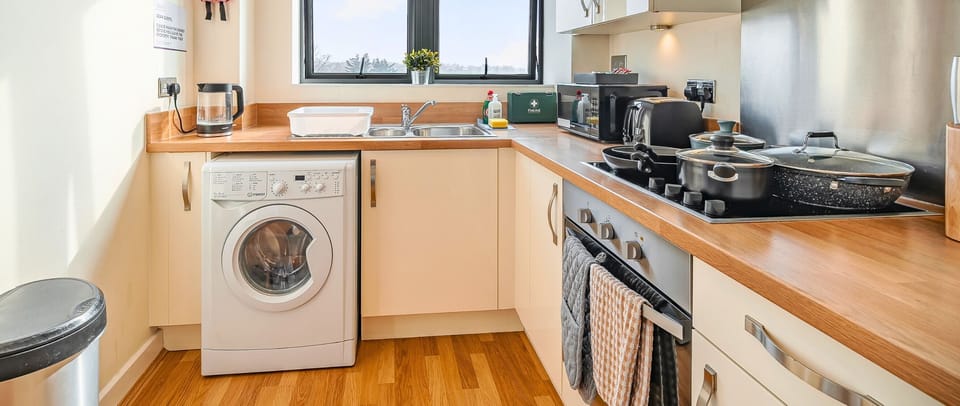 Deluxe Apartment, City View | Private kitchen | Full-size fridge, microwave, oven, stovetop