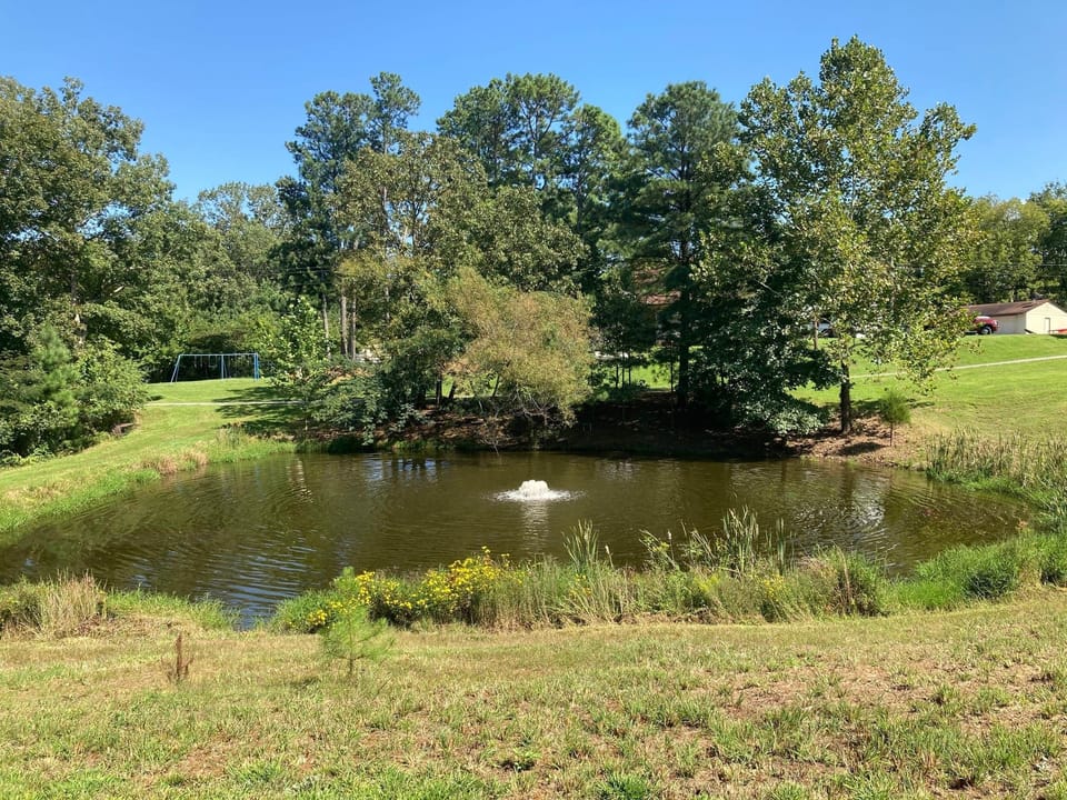 Fishing pond